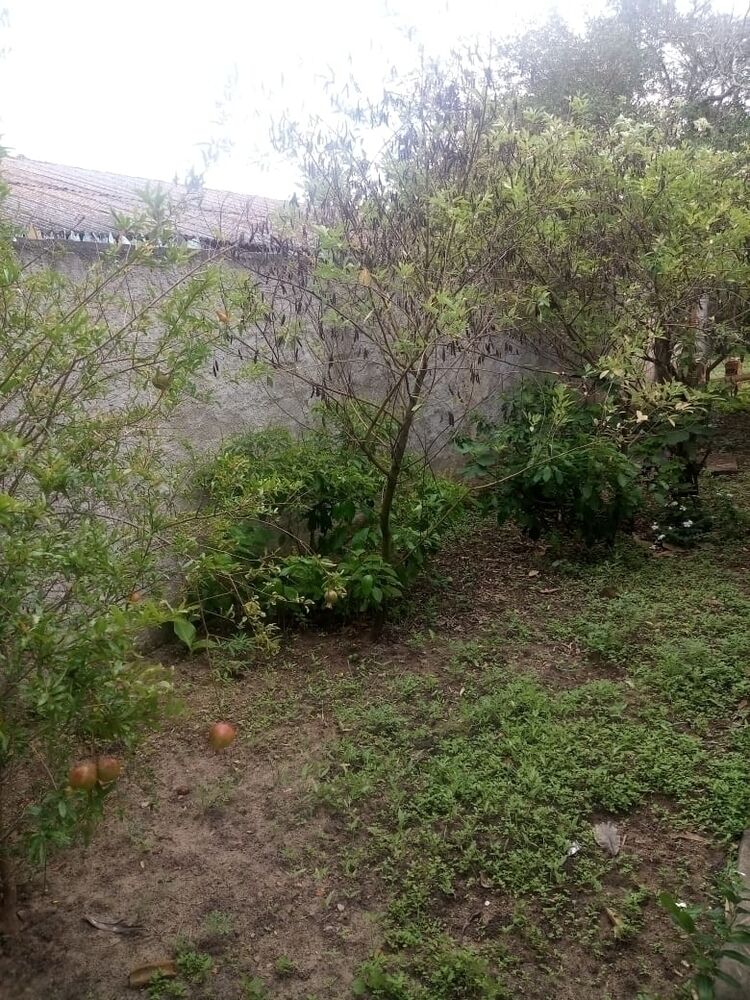 Terreno à venda - Foto 3