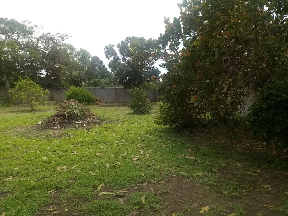 Terreno - Foto 5