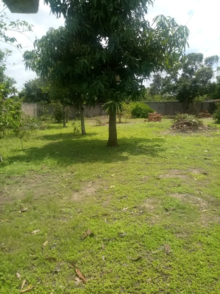 Terreno - Foto 6