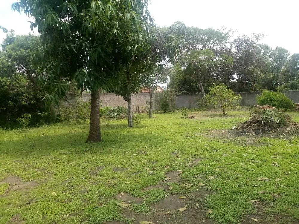 Terreno - Foto 4