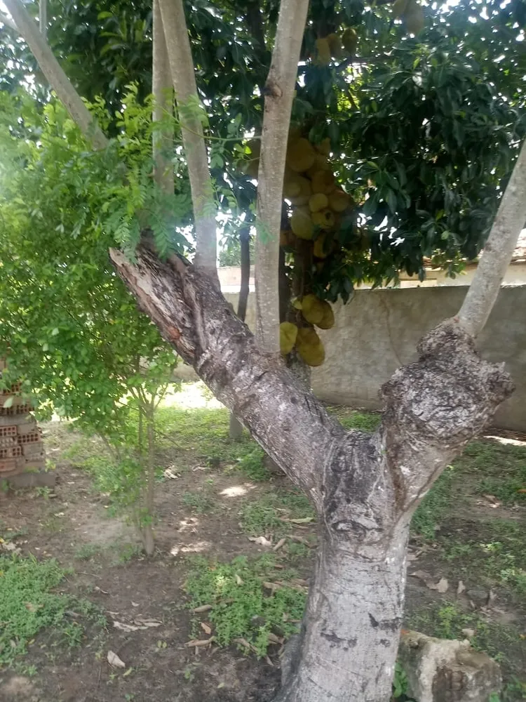 Terreno - Foto 9