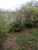 Terreno - Foto 3