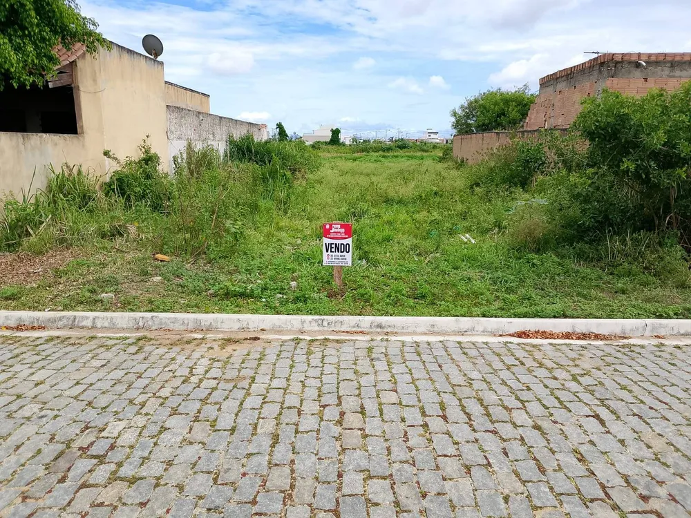 Terreno - Foto 2