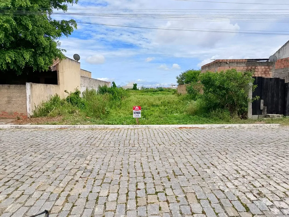 Terreno - Foto 3