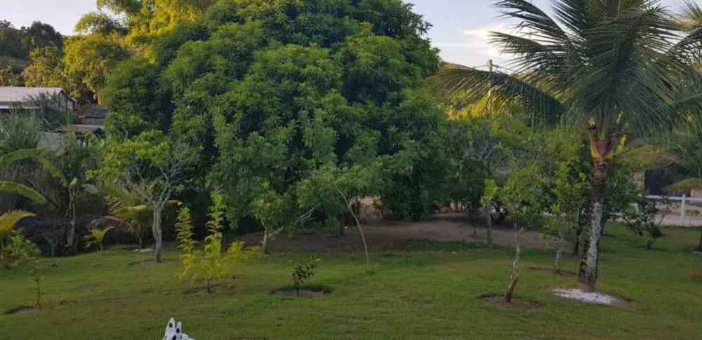 Sítio, 2 quartos, 85 m² - Foto 22