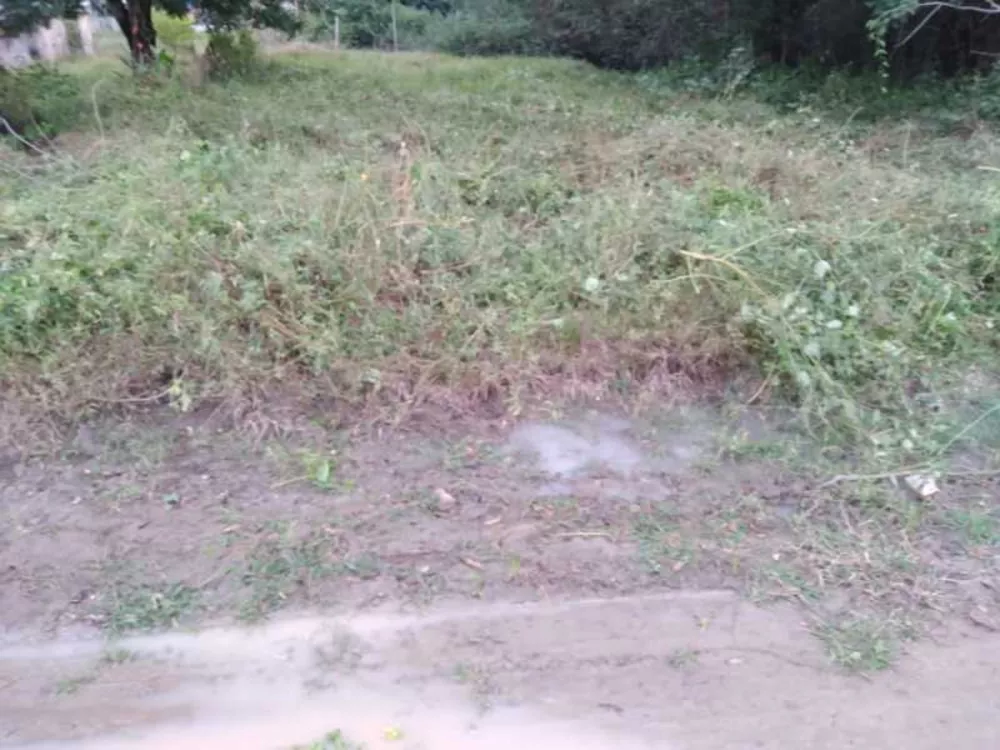 Terreno, 360 m² - Foto 6