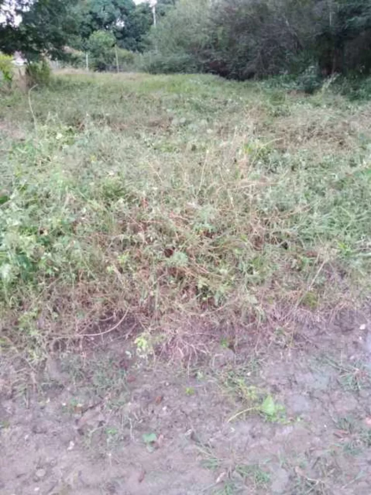 Terreno, 360 m² - Foto 7