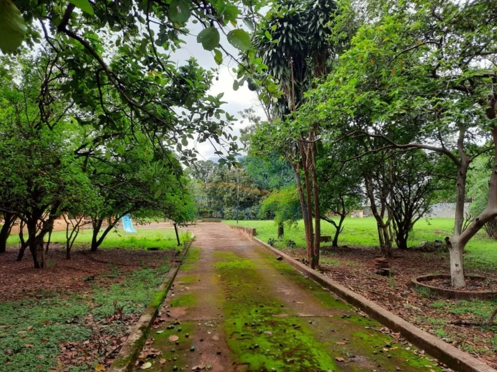 Chácara, 2 quartos, 5000 m² - Foto 8