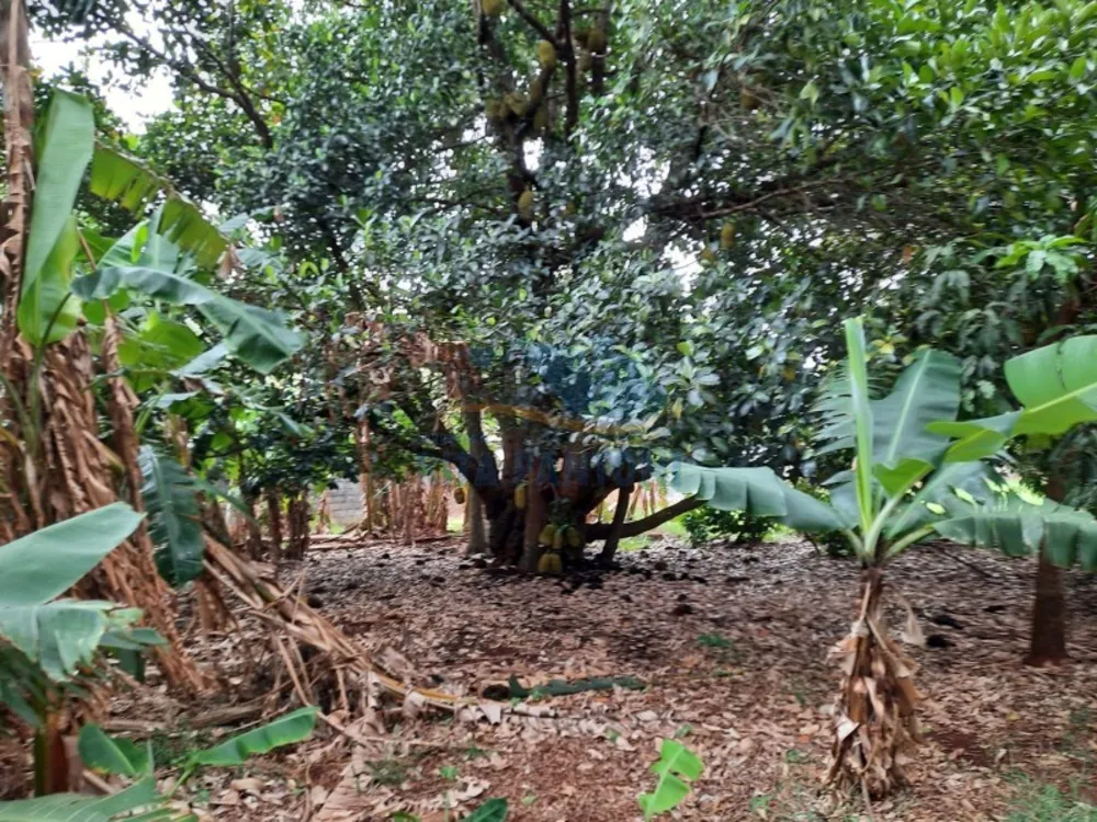 Chácara, 2 quartos, 5000 m² - Foto 2