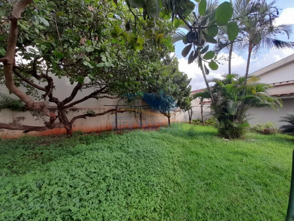 Casa, 4 quartos, 854 m² - Foto 11