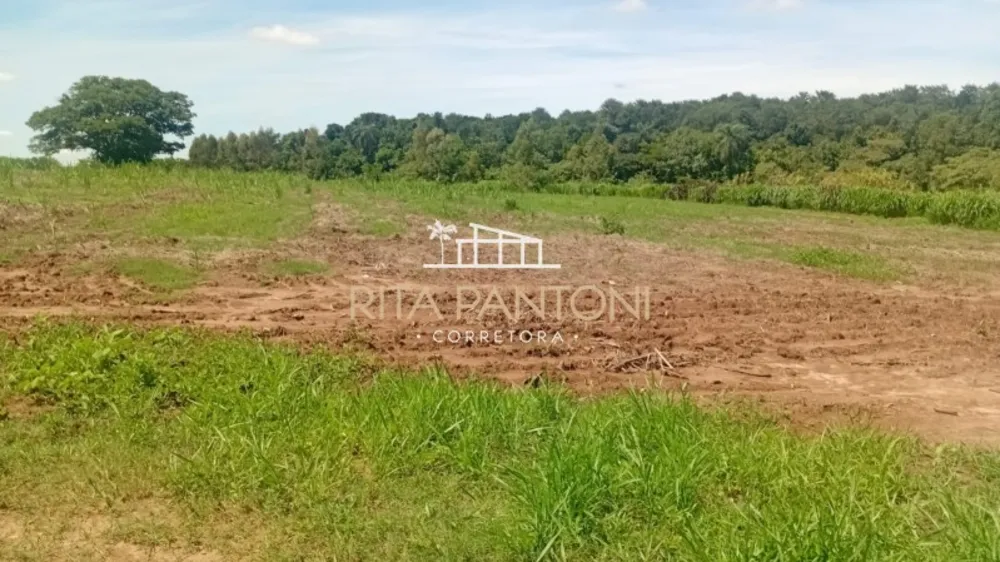 Sítio, 27 hectares - Foto 1