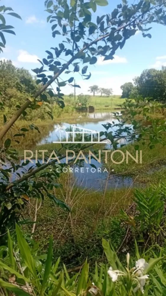 Sítio, 27 hectares - Foto 10