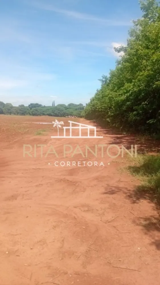 Sítio, 27 hectares - Foto 4