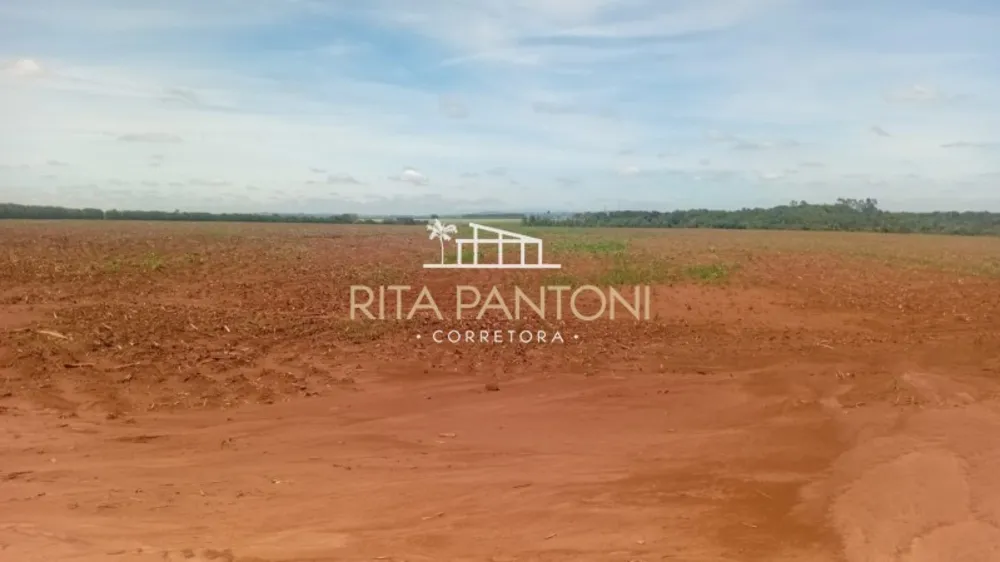 Sítio, 27 hectares - Foto 2