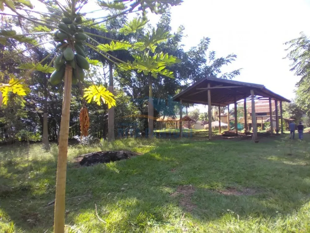 Terreno - Foto 5