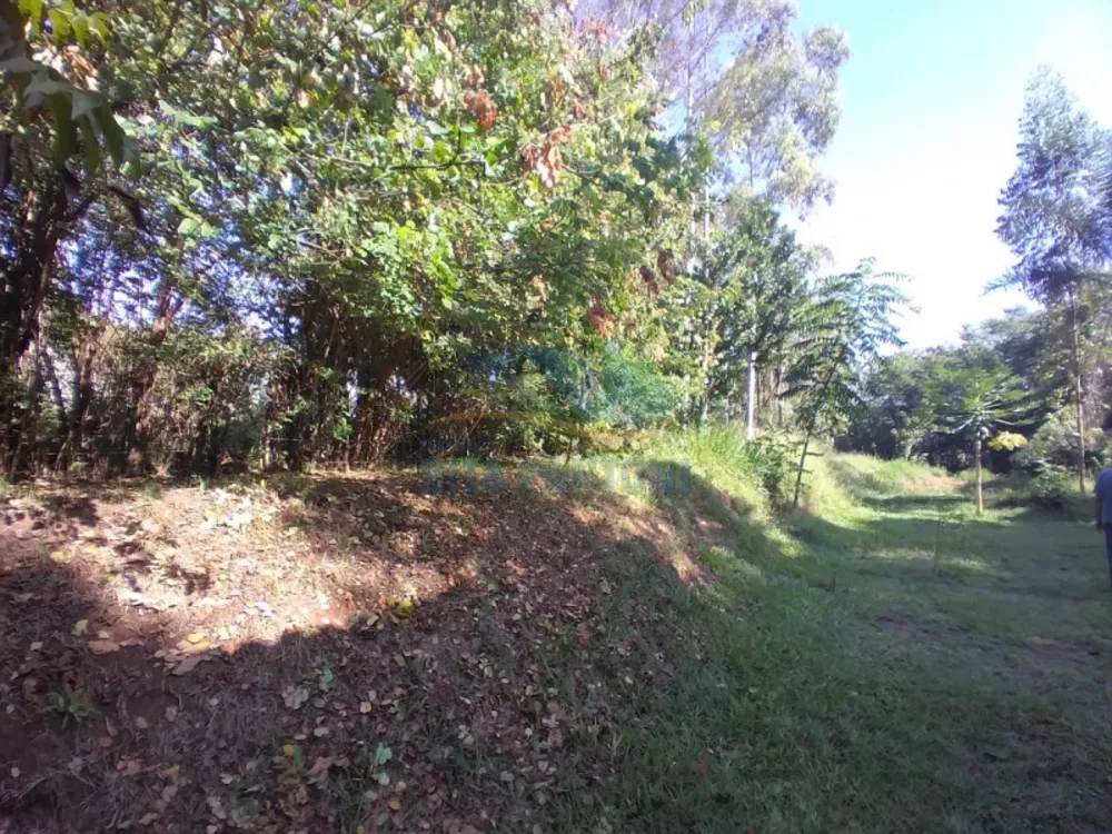 Terreno - Foto 3