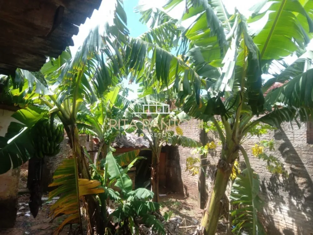 Casa, 4 quartos, 122 m² - Foto 8