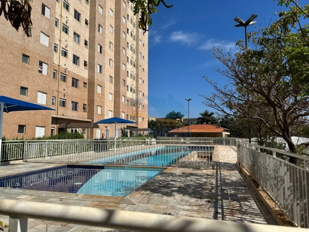 Apartamento, 2 quartos, 45 m² - Foto 3