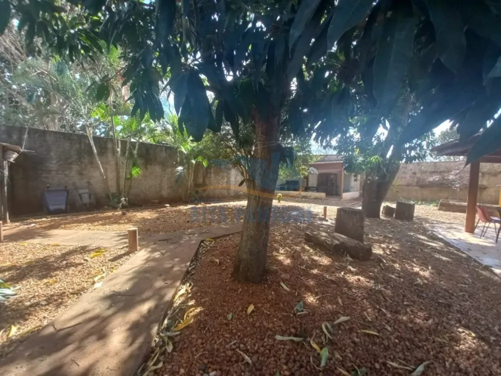 Chácara, 4 quartos, 3200 m² - Foto 3