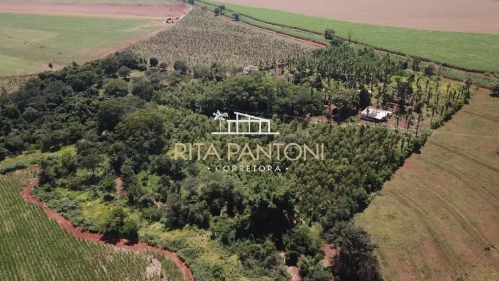 Sítio, 4 hectares - Foto 2