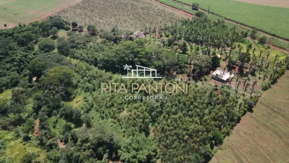 Sítio, 4 hectares - Foto 1