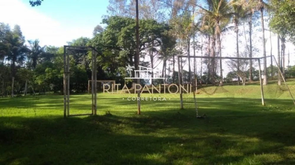 Sítio, 4 hectares - Foto 4