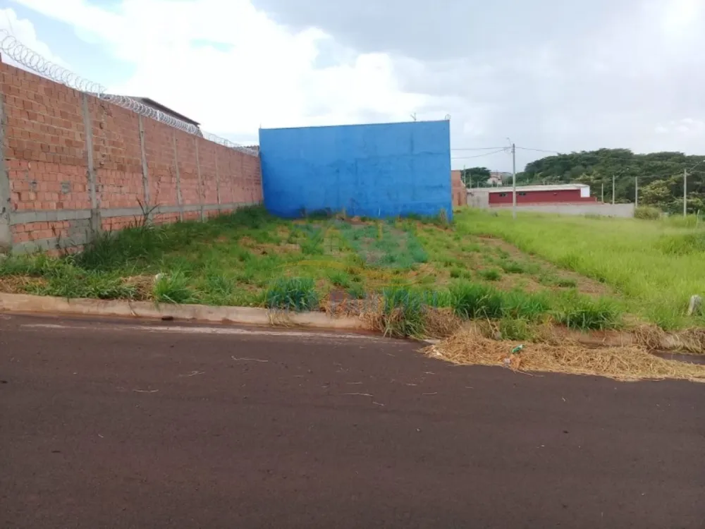 Terreno, 250 m² - Foto 1