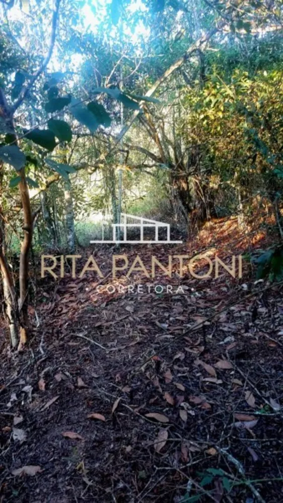 Sítio, 3 quartos, 38 hectares - Foto 4
