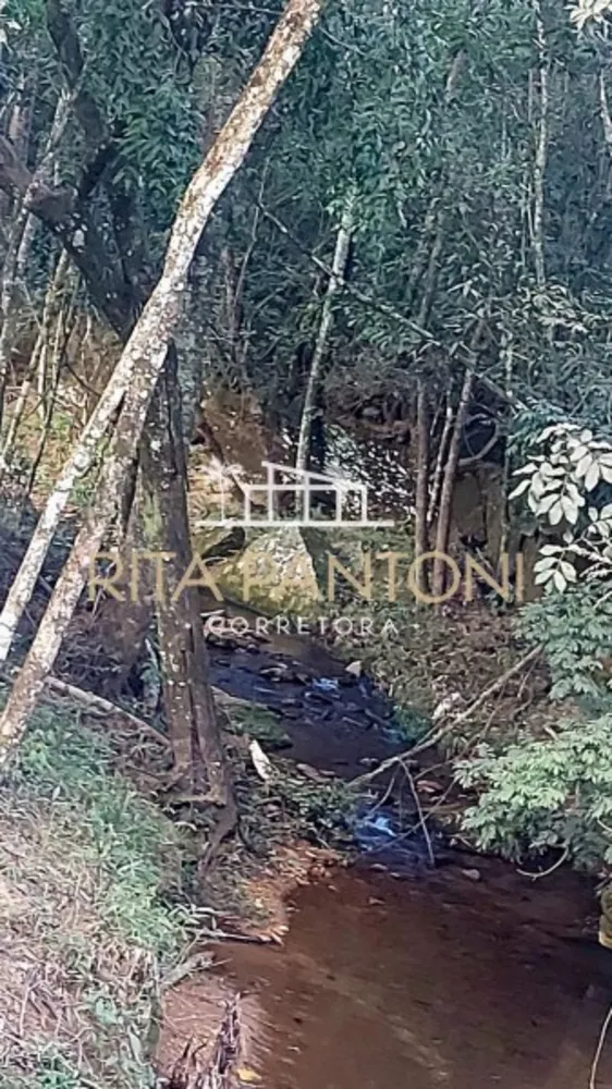Sítio, 3 quartos, 38 hectares - Foto 3
