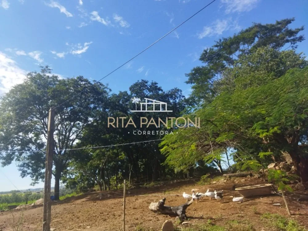 Sítio, 2 quartos, 14 hectares - Foto 4