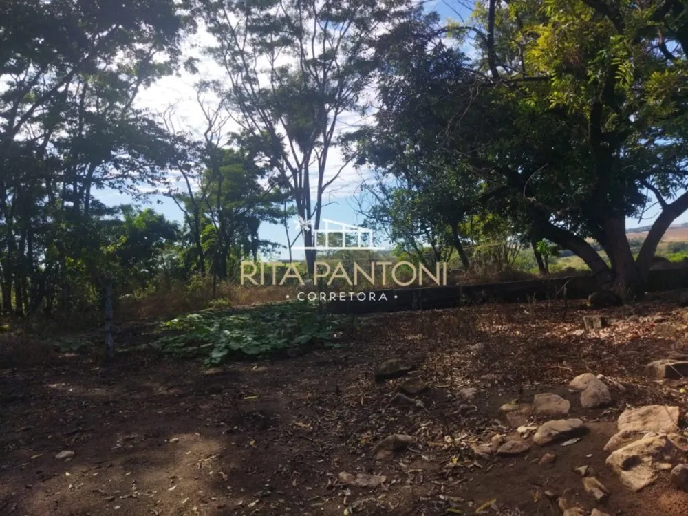 Sítio, 2 quartos, 14 hectares - Foto 6