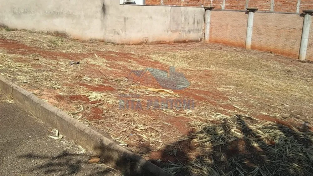 Terreno, 300 m² - Foto 4