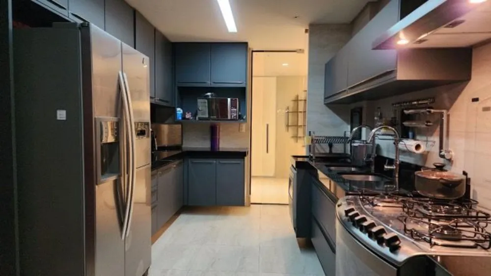 Cobertura, 3 quartos, 300 m² - Foto 3