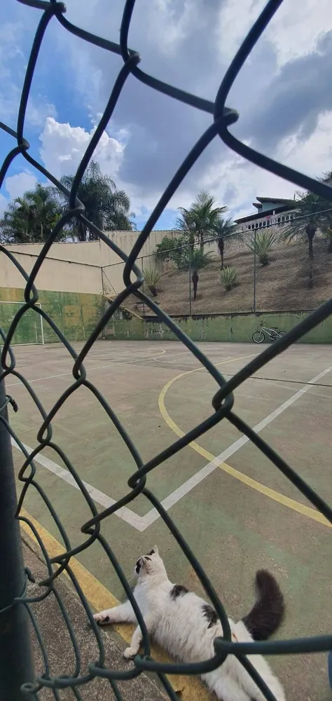 Chácara, 4 quartos, 1425 m² - Foto 7