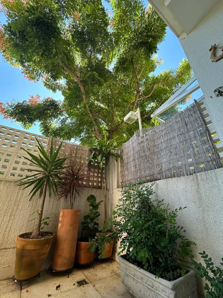 Apartamento, 3 quartos, 80 m² - Foto 11