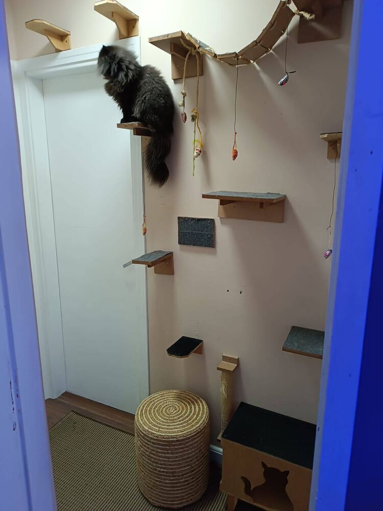 Apartamento, 3 quartos, 98 m² - Foto 7