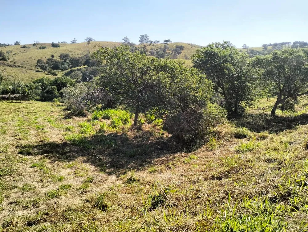 Terreno, 970 m² - Foto 6