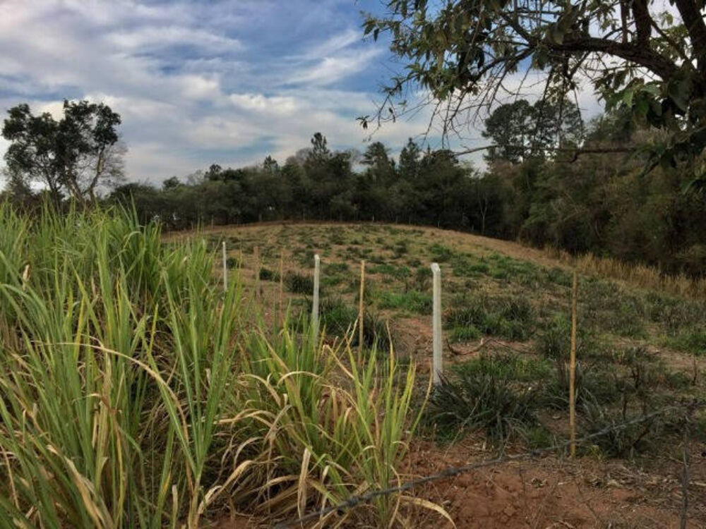 Terreno, 5600 m² - Foto 3