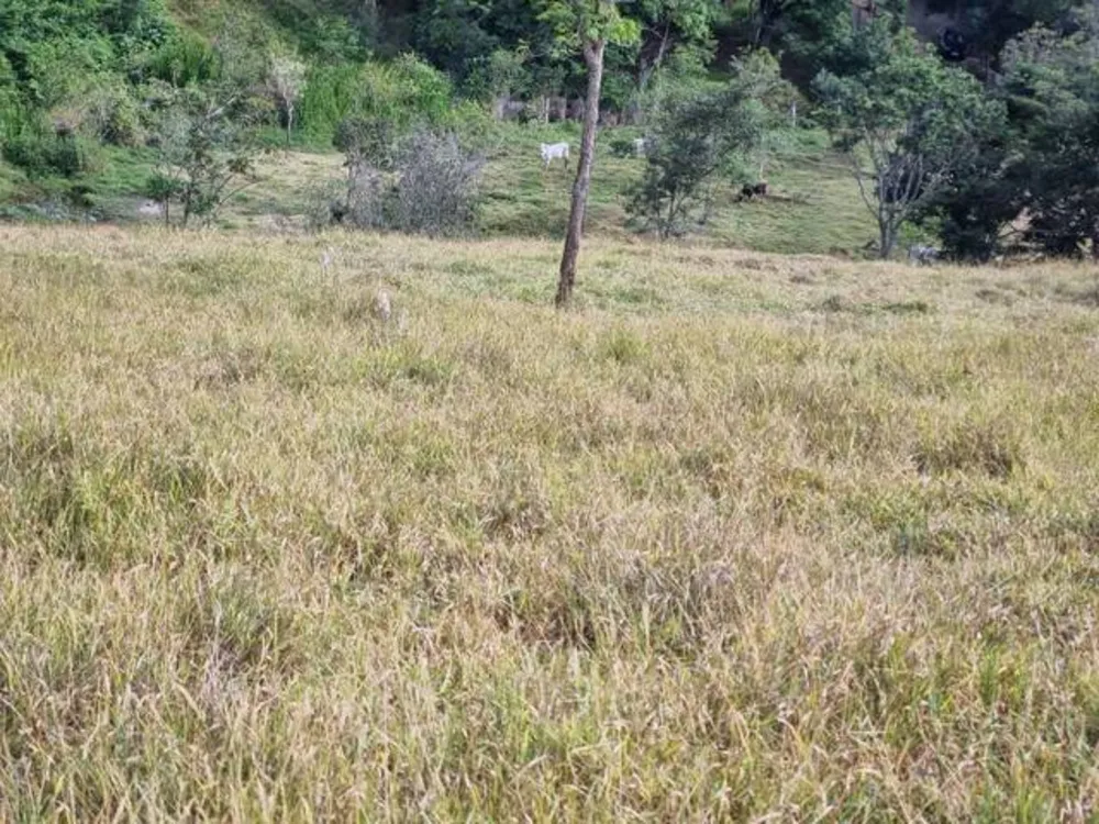 Terreno, 2 hectares - Foto 2