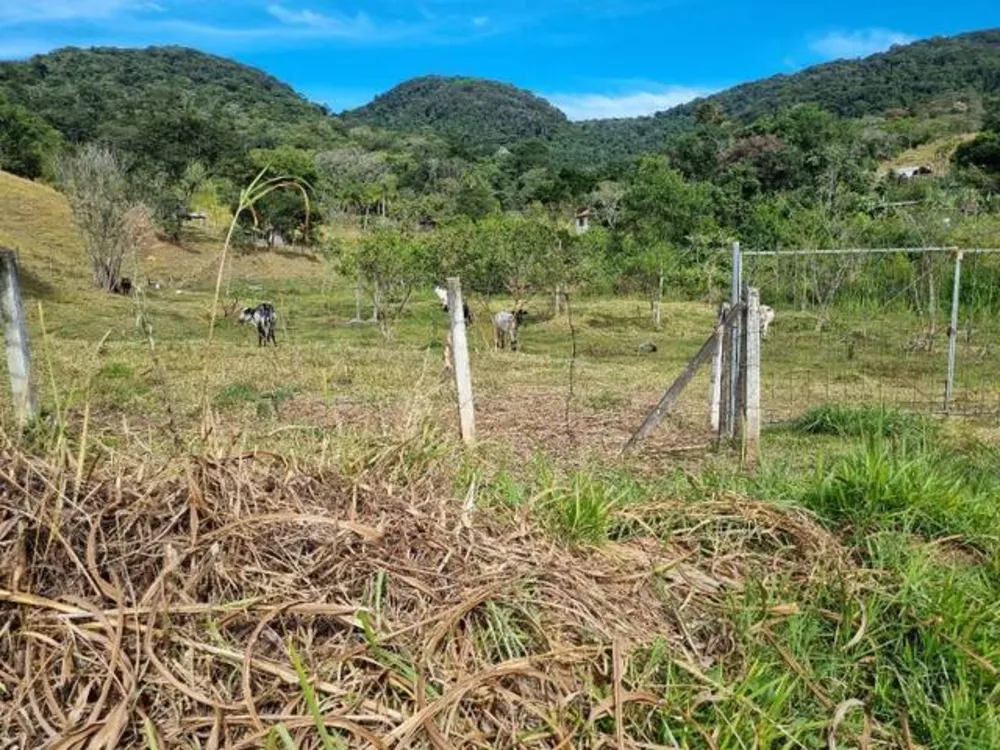 Terreno, 2 hectares - Foto 3