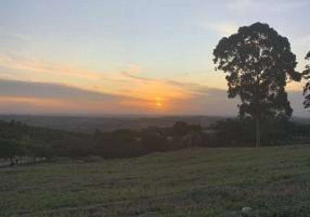 Terreno, 1003 m² - Foto 1