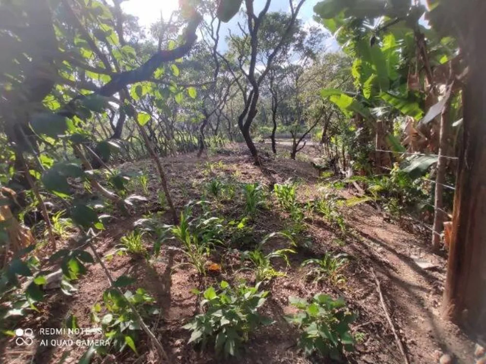 Terreno à venda, 512m² - Foto 6