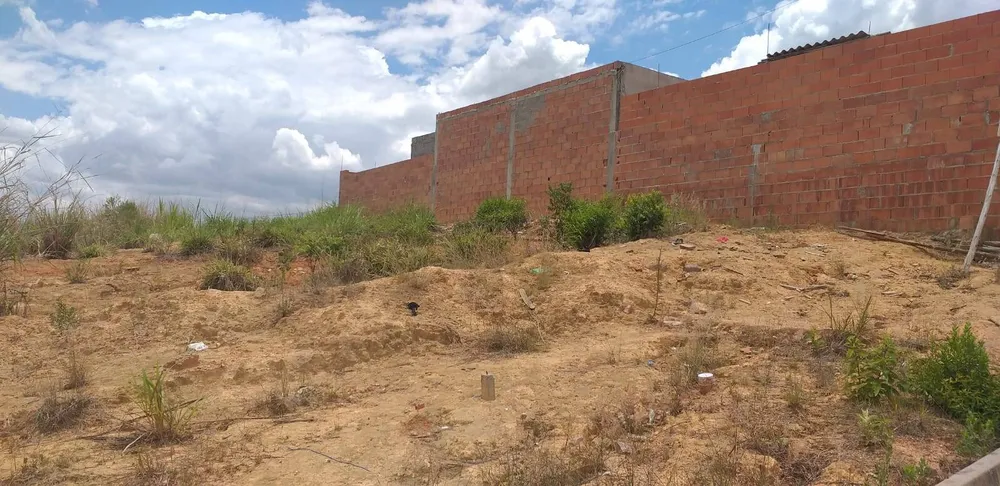Terreno, 250 m² - Foto 3