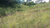 Terreno, 2 hectares - Foto 3