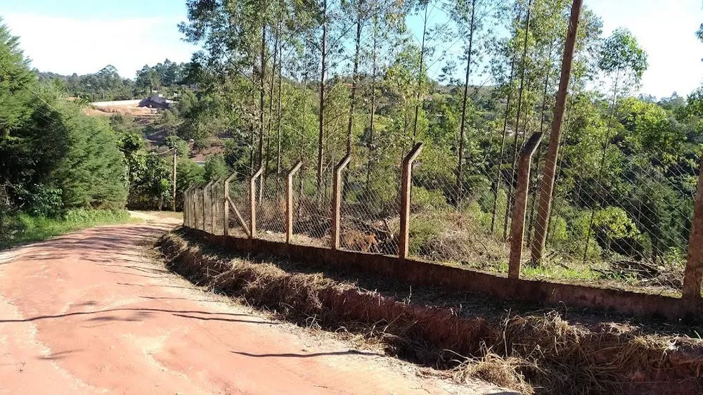 Terreno, 6900 m² - Foto 15