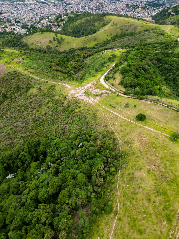 Terreno, 14 hectares - Foto 11