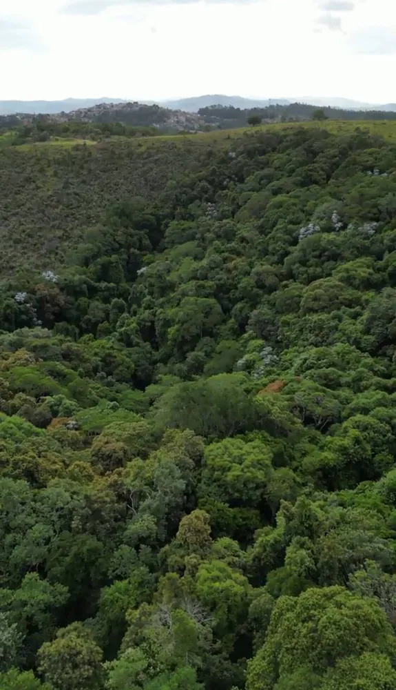 Terreno, 14 hectares - Foto 6