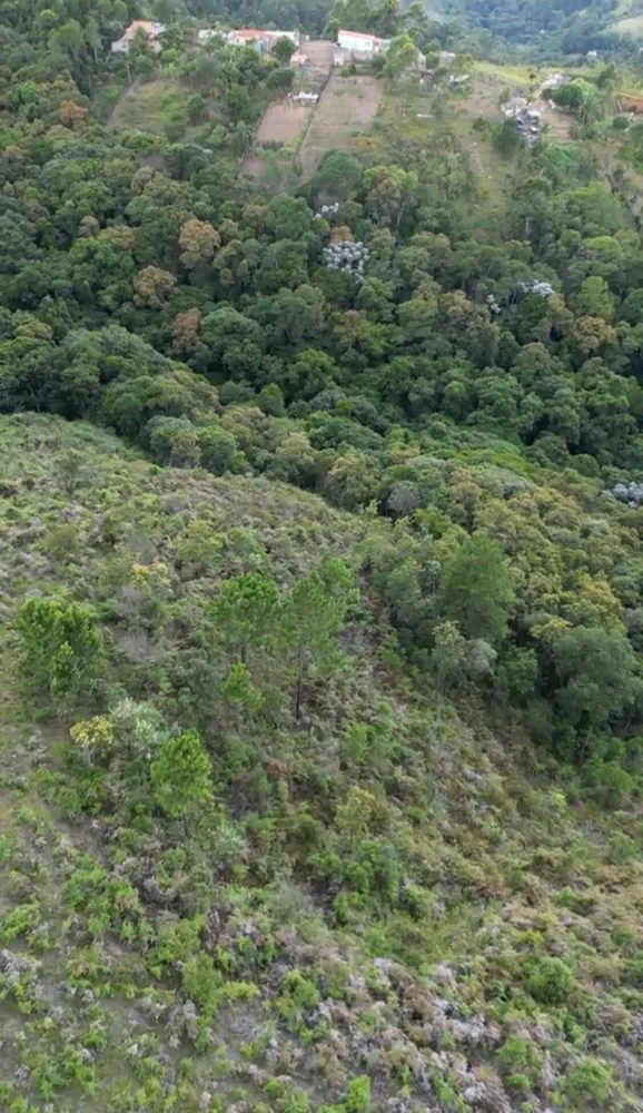 Terreno, 14 hectares - Foto 9