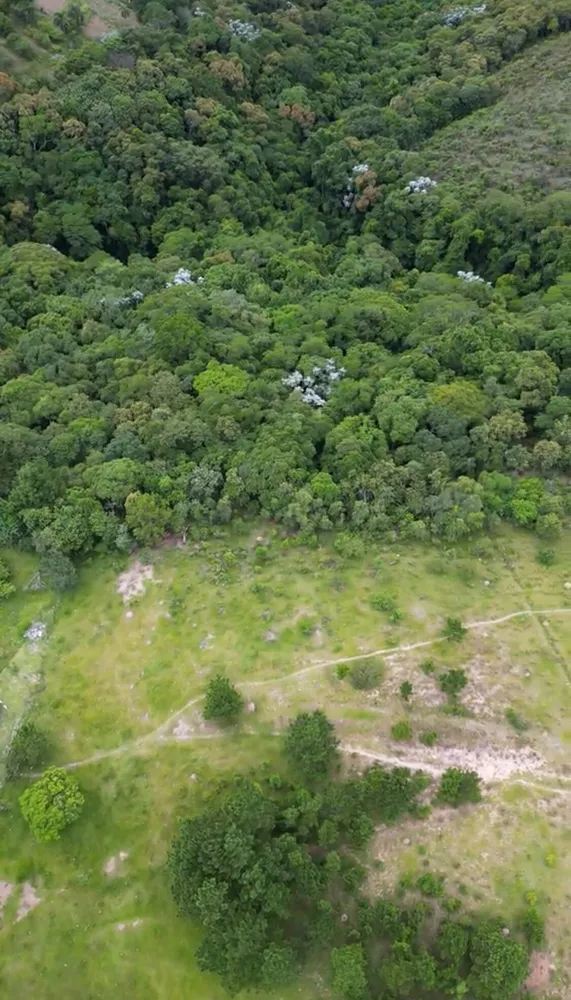 Terreno, 14 hectares - Foto 4