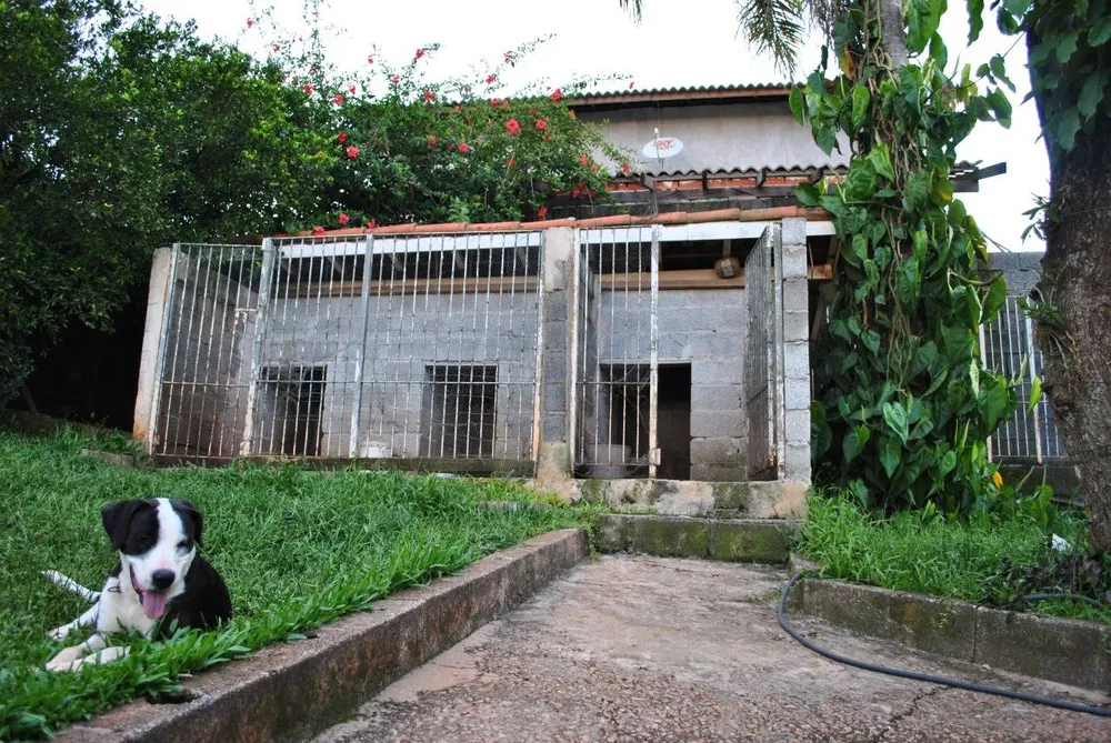 Chácara, 4 quartos, 2000 m² - Foto 13